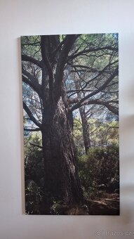 Velký obraz 150x80 - 3