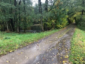 Rybník na prodej - 3