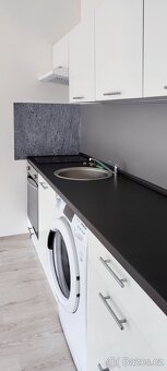 Pronájem bytu 1+1 se dvěmi lodžiemi, 50m2 - 3