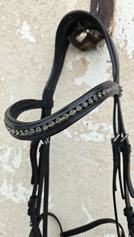 Anatomická uzdečka Waldhausen - 3