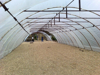 Agrofolie  LD-PE – plachta na foliovník,skleníky, transp - 3