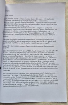 OBRAZY - VYHOTOVIM ZNALECKÉ POSUDKY - 3