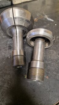 Stromečková kleština - 3