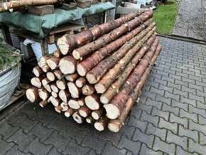 Smrkové kůly - 3