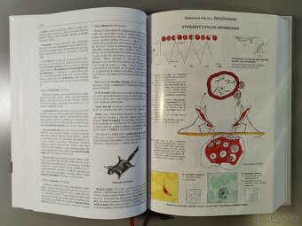 Biologie pro gymnázia - 3