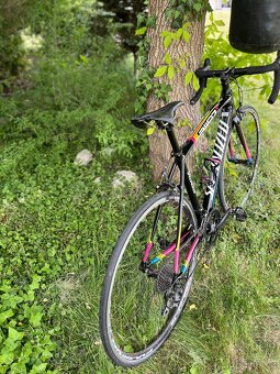 Specialized Allez vel. 54 - 3