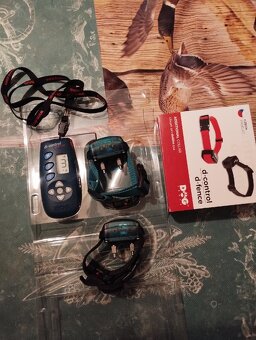 Elektronický výcvikový obojek - 3