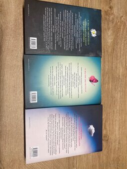 Sedmilhářky, manželovo tajemství a šílené výčitky - 3