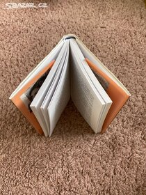 Jak jsem sebrala odvahu - 3