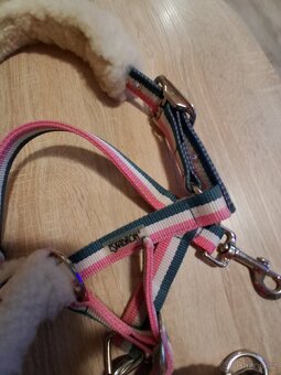 Ohlavka eskadron - 3