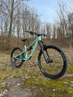 Canyon Torque Mullet AL 5 - 3