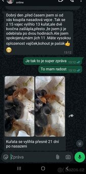Násadová vejce - 3