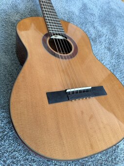 Kytara Pablo Vitaso VCG-15 - 3