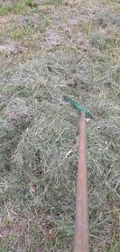 Tráva, seno, pastva, pole, zahrada.Umístění ovcí nebo koz - 3