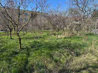 Pronájem zahrady v Pardubicích - 3