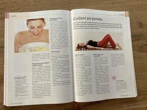 Nová velká kniha o mateřství - 3