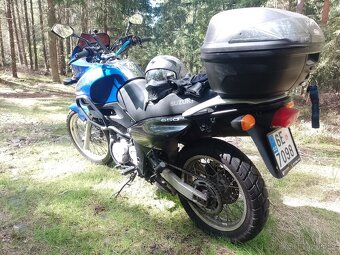 Suzuki XF650 Freewind - 3