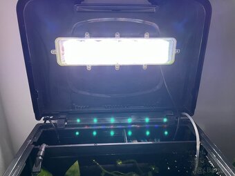 Akvarium Invital EasyTank LED 50 litrů - 3