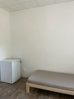 Pronajmu 2 spojené pokoje s vlastním WC a sprchovým koutem. - 3