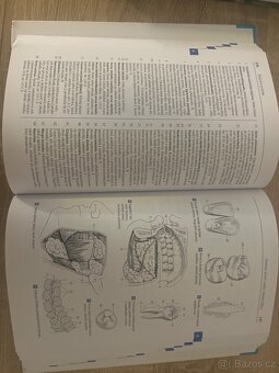 Feneisův obrazový slovník anatomie - 3