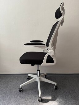 Ergonomická židle Ahua - 3