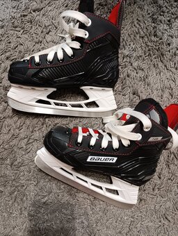Brusle Bauer 32 - 3