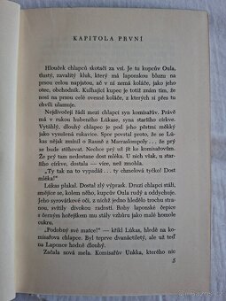 Opuštěná ves - Arvi Järventaus - 3