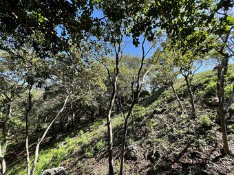 LOT 8 Bodden Bight Estate, Roatan - 3