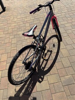 Kolo Rockmachine Thunder 26” - 3