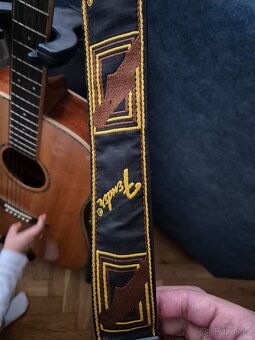 Kytara Washburn - 3
