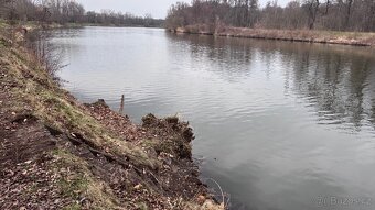 Pozemek - kolín pronájem rybaření , rekreace - 3