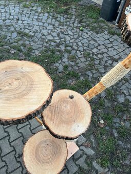 Kočicí strom - 3