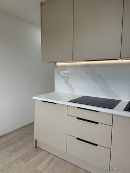2+1 s balkonem po rekonstrukci, ul. Proskovická - 3
