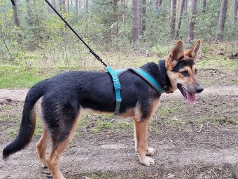 ABBIE K ADOPCI - malá NO úžasňačka, nejde se nezamilovat:) - 3
