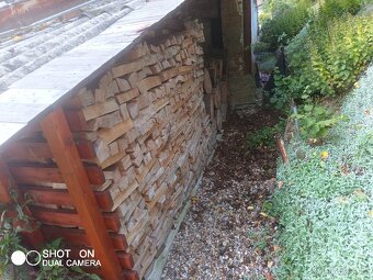 PALIVOVÉ DŘEVO TVRDÉ - DUB - 3