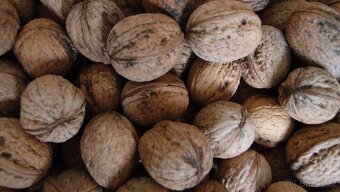 Prodám vlašské ořechy neloupané - 3