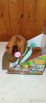 club petz pejsek - 3