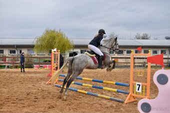 Pronajem úžasné šimličky - 3