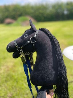 Hobby horse - 3