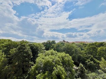 Pronájem jednopokojového bytu na ulici Botanická -OD ZÁŘÍ - 3