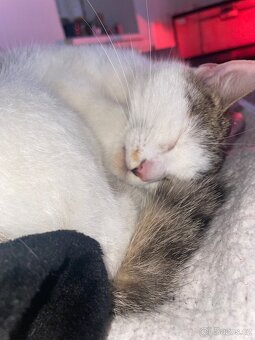 Daruji-rezervace - 3