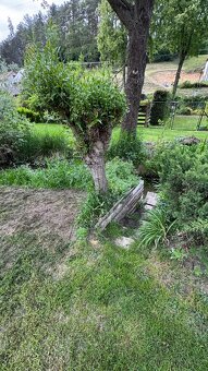 Prodej zahrádky Bělá pod Bezdězem, 616m2 - 3