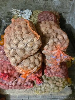 Brambory na uskladnění - 3