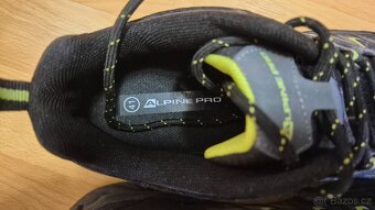boty Alpine Pro DARLON, velikost 41 - 3