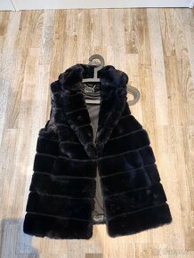 Vesta Guess - 3