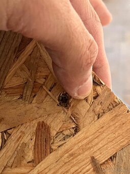 Dřevěná vyvýšená konstrukce na spaní – 2×2 m - 3