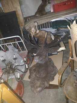 Paroží a trofeje - 3