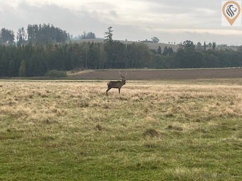Prodej 2/3 podílu rodinného domu s pozemky v malebné obci Út - 3