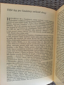 Dívka s perlou. - 3