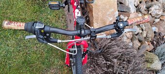 Superior Paint 20"- PĚKNÉ - 3